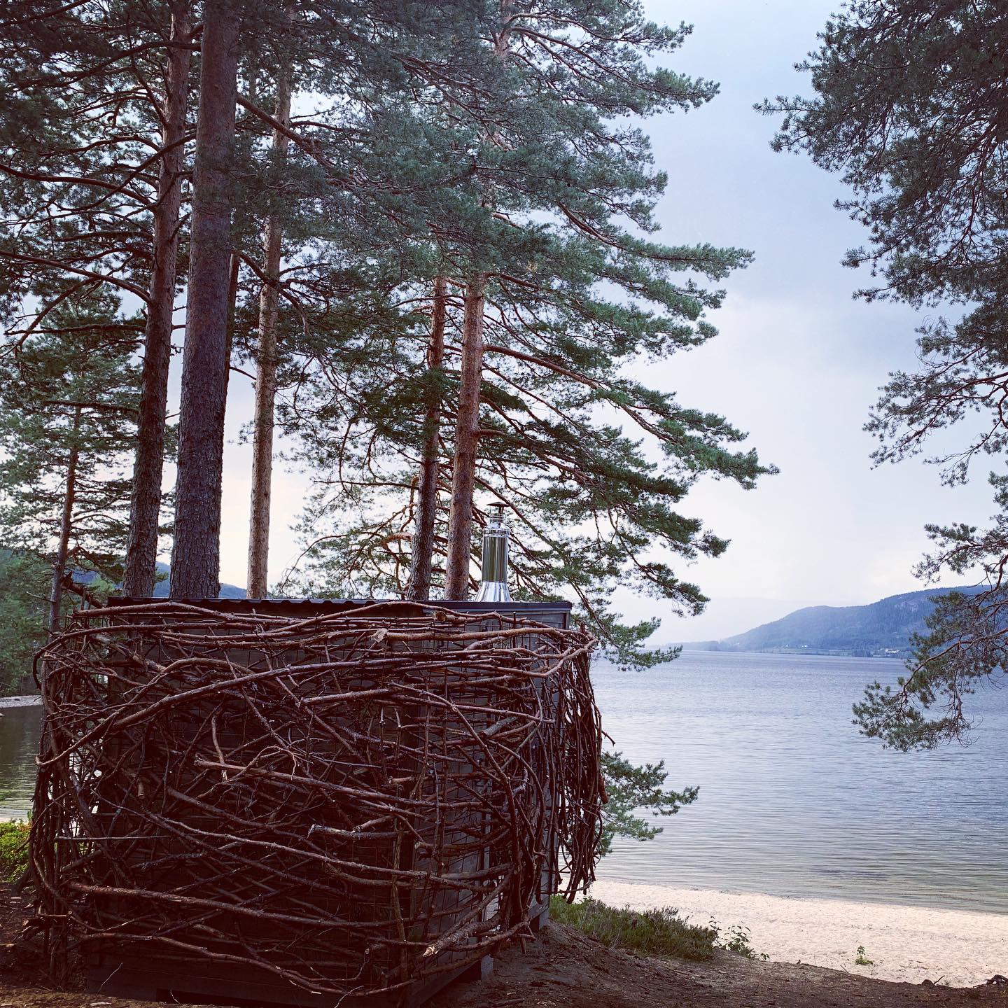 birds nest sauna with beach view