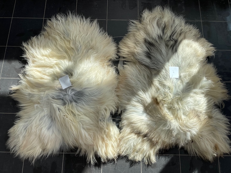 saueskinn gave ursau beskyttelse interiør 