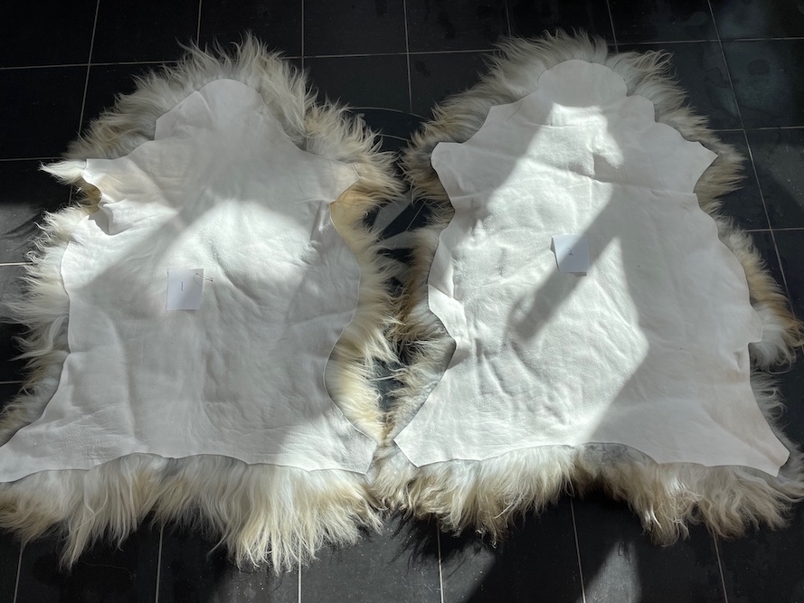 saueskinn gave ursau beskyttelse interiør 