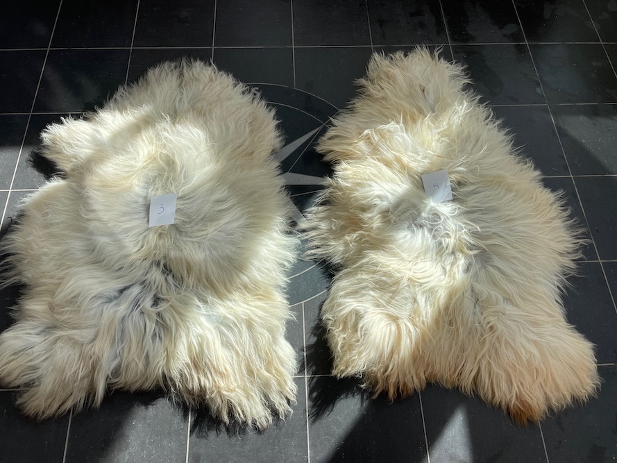 saueskinn gave ursau beskyttelse interiør 