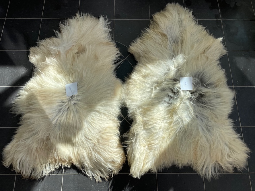 saueskinn gave ursau beskyttelse interiør 