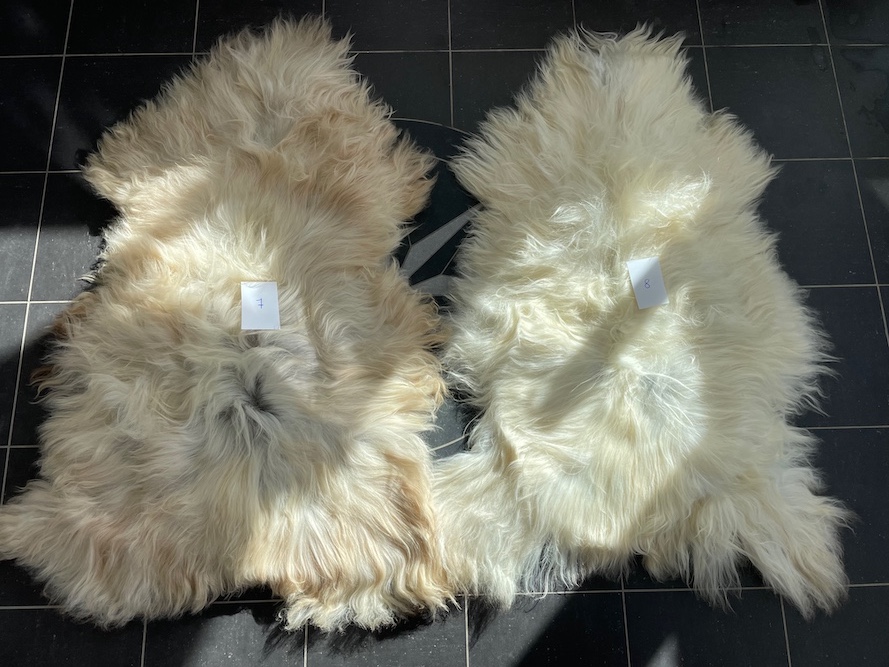 saueskinn gave ursau beskyttelse interiør 