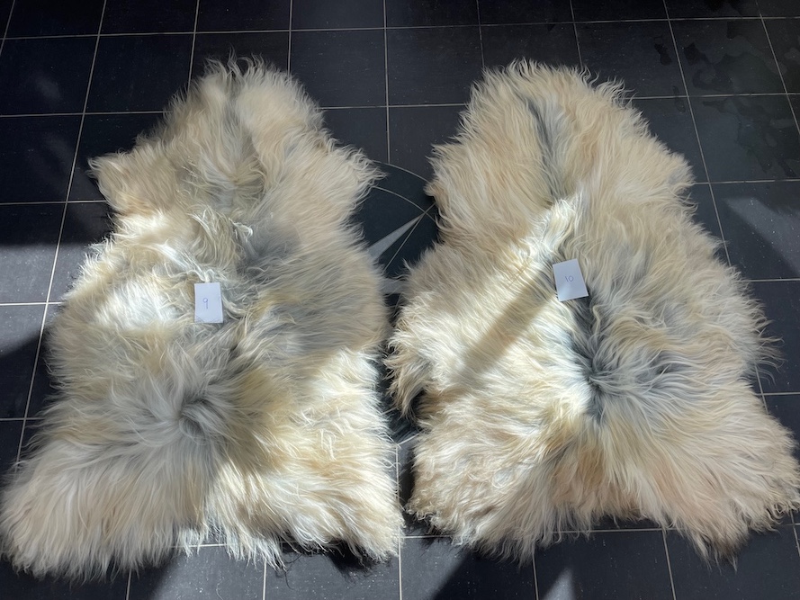 saueskinn gave ursau beskyttelse interiør 