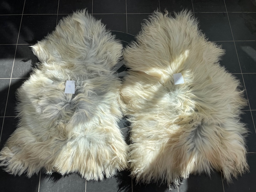 saueskinn gave ursau beskyttelse interiør 