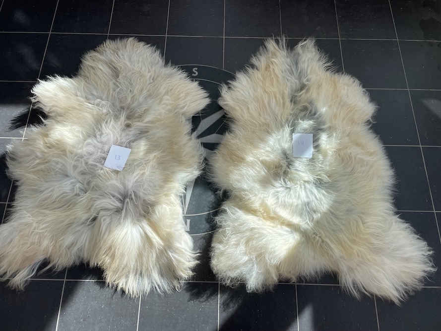 saueskinn gave ursau beskyttelse interiør 