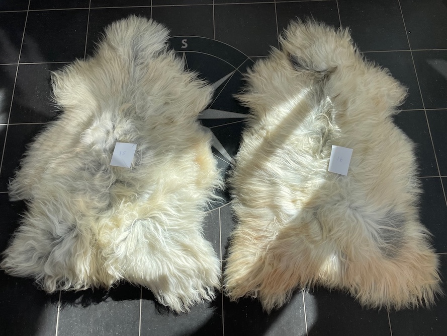 saueskinn gave ursau beskyttelse interiør 