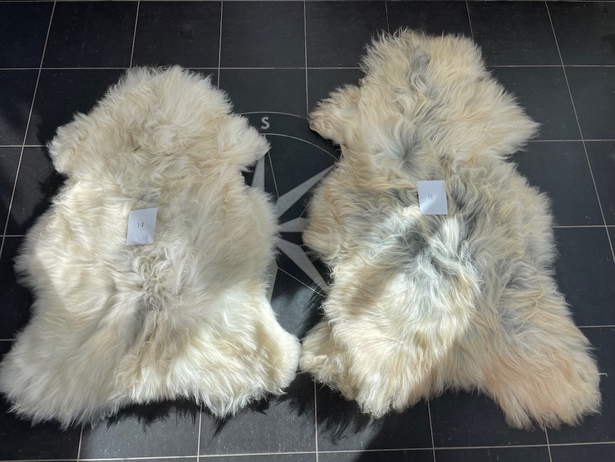 saueskinn gave ursau beskyttelse interiør 