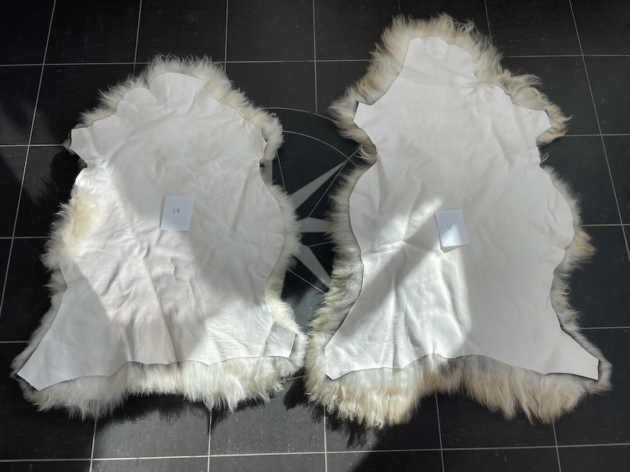 saueskinn gave ursau beskyttelse interiør 