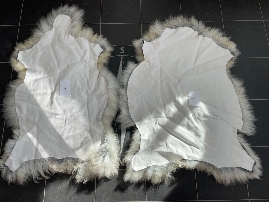 saueskinn gave ursau beskyttelse interiør 