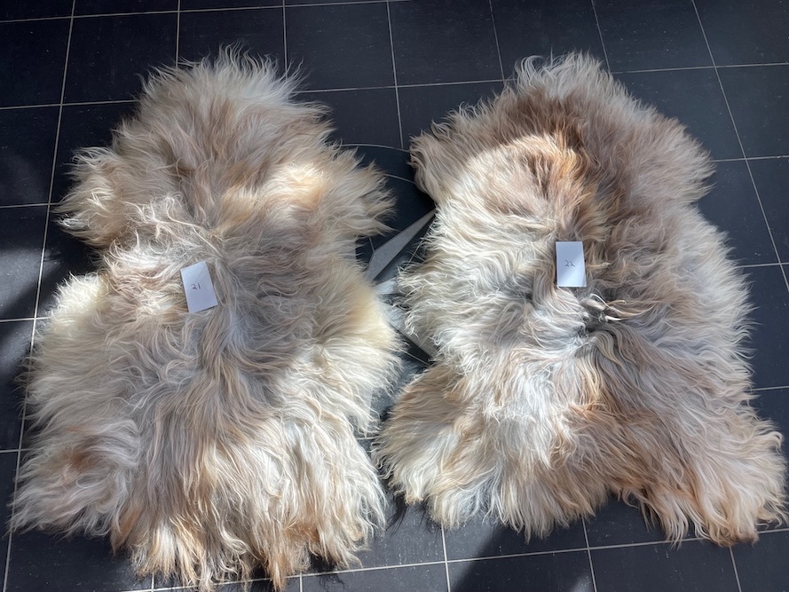 saueskinn gave ursau beskyttelse interiør 