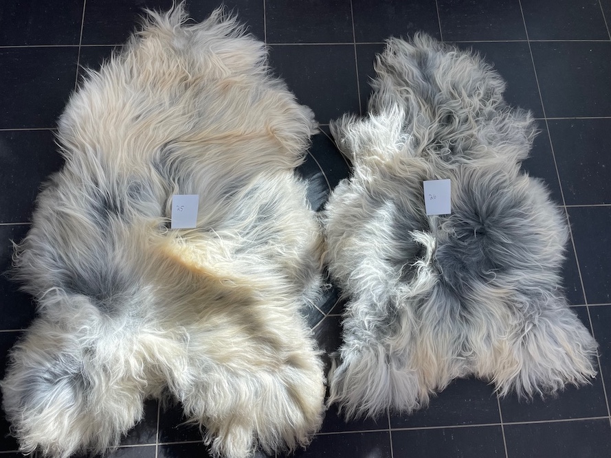 saueskinn gave ursau beskyttelse interiør 