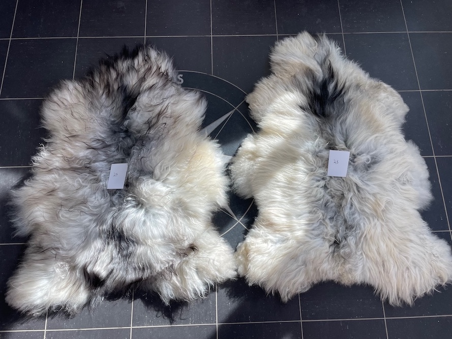 saueskinn gave ursau beskyttelse interiør 