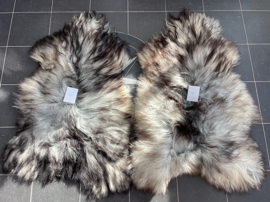 saueskinn gave ursau beskyttelse interiør 