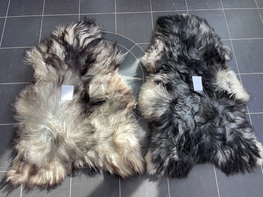 saueskinn gave ursau beskyttelse interiør 