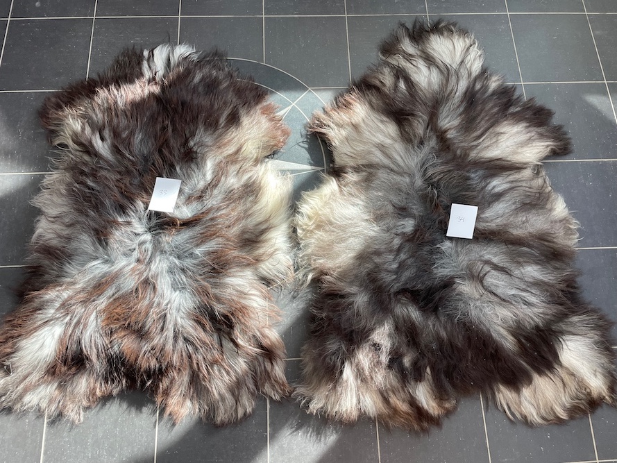 saueskinn gave ursau beskyttelse interiør 