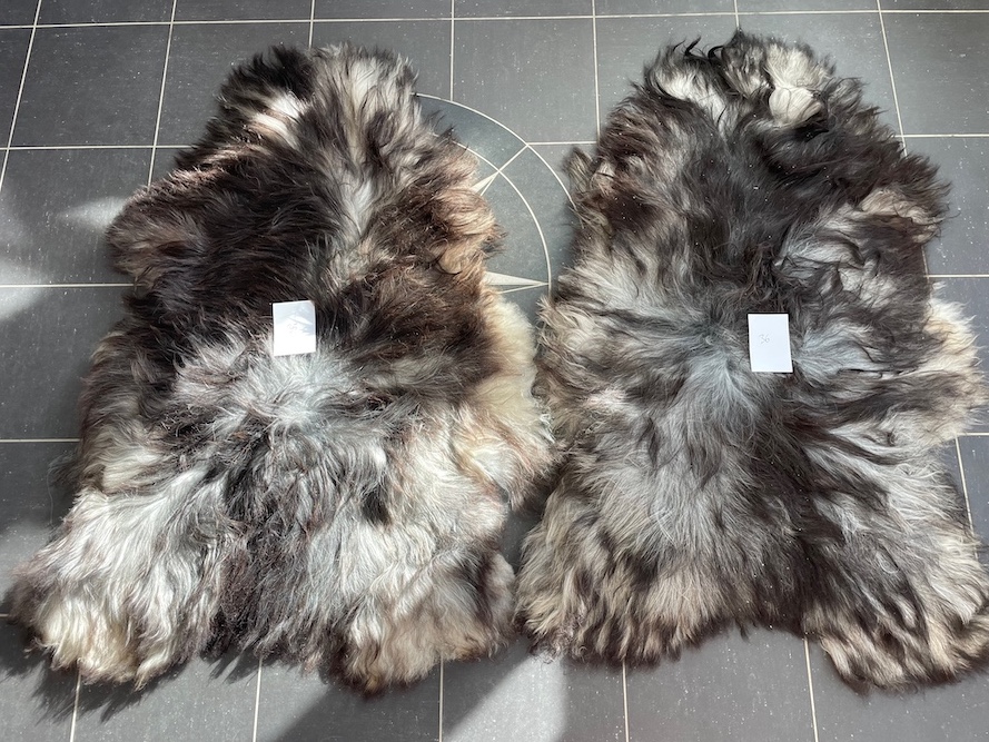 saueskinn gave ursau beskyttelse interiør 