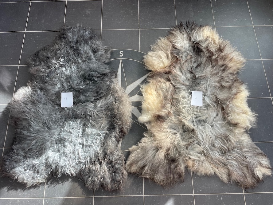 saueskinn gave ursau beskyttelse interiør 