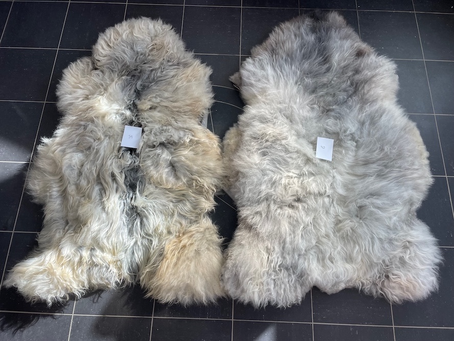 saueskinn gave ursau beskyttelse interiør 