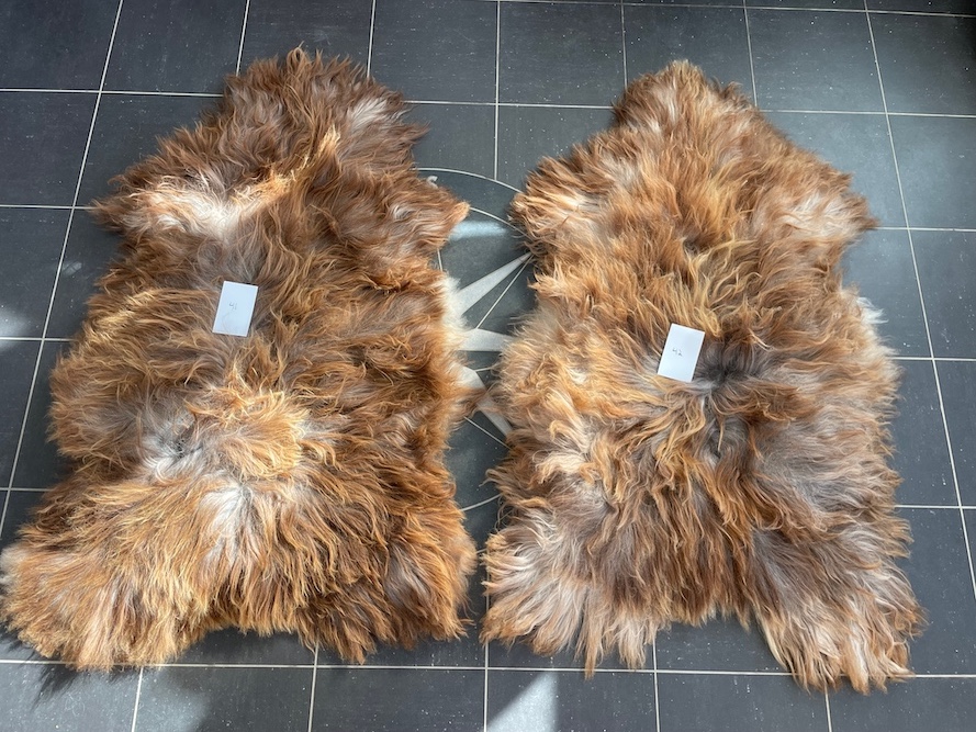 saueskinn gave ursau beskyttelse interiør 