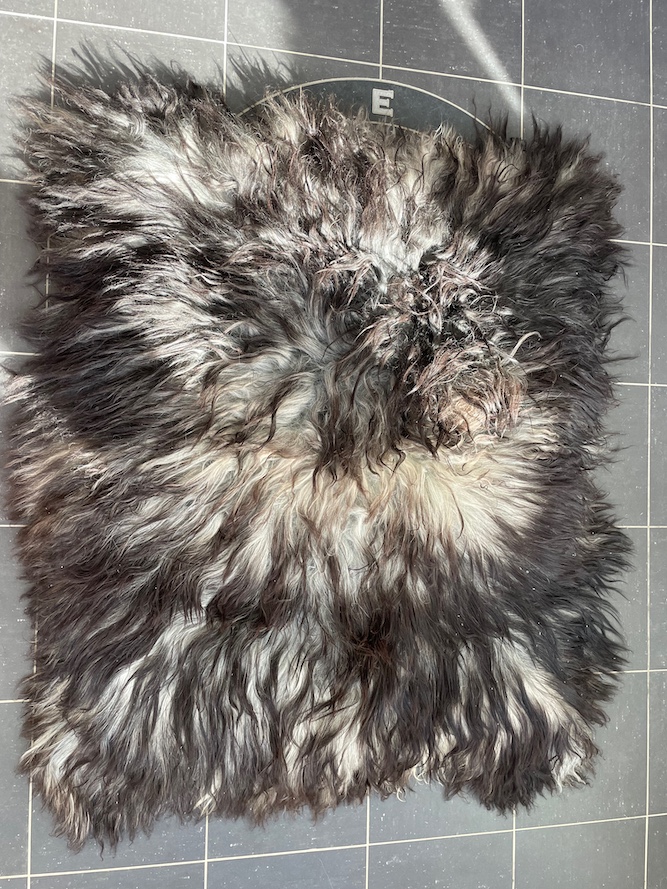 Saueskinnsfell ursau gave 